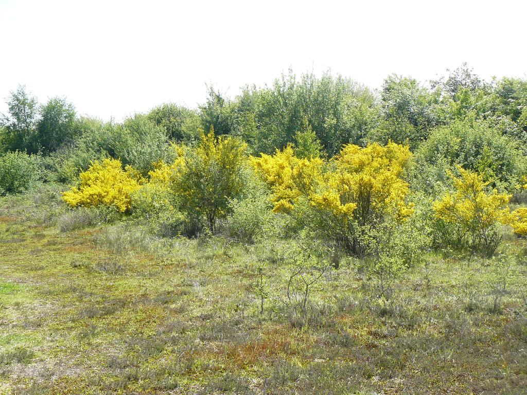 Stichting Veenloopcentrum Weiteveen Buitenkant foto