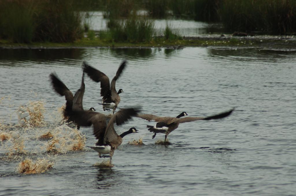 Stichting Veenloopcentrum Weiteveen Buitenkant foto